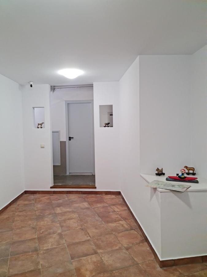 Ca La Maria Apartment Ла Сеу д'Ургел Екстериор снимка